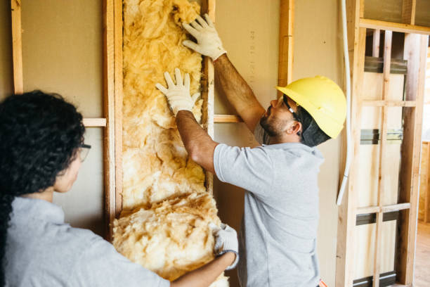 Best Energy-efficient Insulation  in Gurnee, IL
