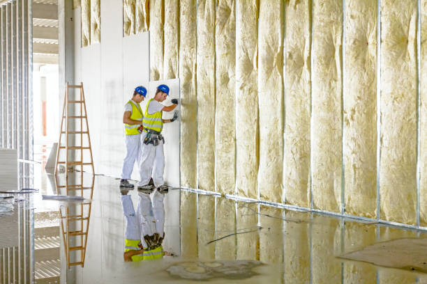 Best Residential Insulation Services  in Gurnee, IL